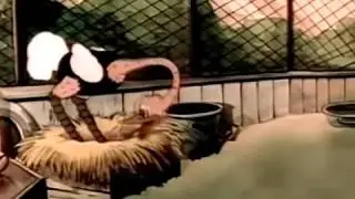 A Day At The Zoo orignal 1939 HD