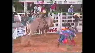 RODEIO DE PARANACITY E CRUZEIRO DO SUL - PR 2001