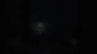 Blair Witch folge 2