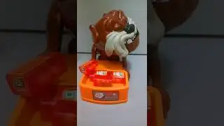 🐕 BEWARE OF MAD DOG! DON'T TOUCH HIS TICTAC ORANGE #trending #maddog #shortvideo #shortsfeed