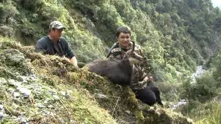 South Westland Chamois hunt New Zealand