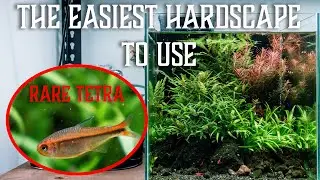Is this the simplest hardscape to use for nano tanks