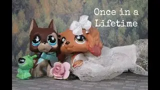 LPS: Once in A Lifetime {Short Film}
