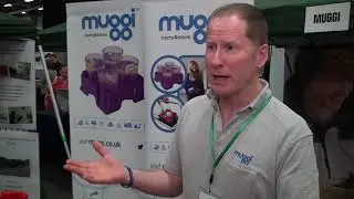 Muggi