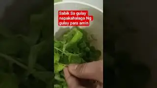 Gulay Is Life MGA Ilokano#shorts