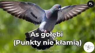 As gołębi &ndash; hymn gołębi pocztowych (Racing Pigeon Song) | PigeonSongs (PL)