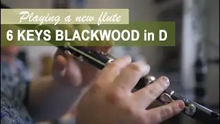Traditional Jig on an Irish Wooden Flute | Made by Steffen Gabriel