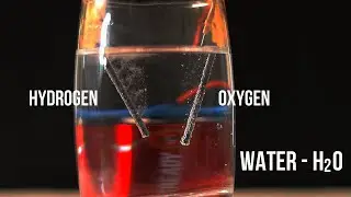 2 Easy science experiments (pt-14)