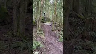 How do you test a new bike? Marin Alpine Trail XR #mtb #youtubeshorts #mtblife #shorts #mountainbike