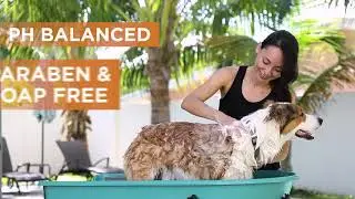 Veterinary Formula Antiseptic and Antifungal Medicated Shampoo