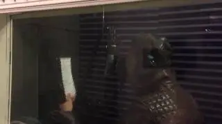 Diele - Behind the scenes 