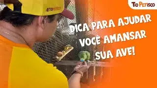 👉APRENDA A TÉCNICA DA INDUÇÃO!