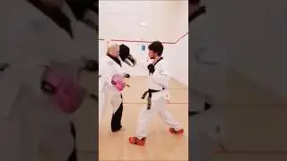 TAEKWONDO PUNCH TRAINING #martialarts #taekwondo #fightingsport #combatsport