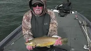 Nice jerk-bait brown trout caught! #bassfishing #capecod #GitSum