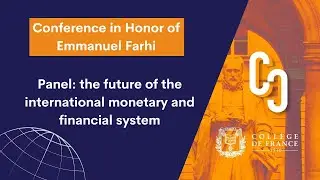 Panel: the future of the international monetary and financial system