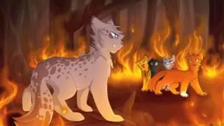 HollyLeaf || Surprise