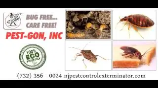 Hillsborough New Jersey Pest Control