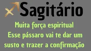 Sagitário♐️O homem e o Pássaro, não se assuste pois é a resposta que você pediu aos céus 