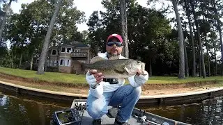 Blalock Reservoir   Tossing the NEW Z Man Hella Crawz