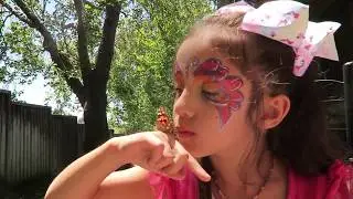 Insect Lore Butterfly Kit - Painted Lady Butterflies - Educational