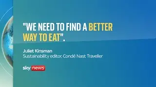 The Daily Climate Show: Should you swap your burger for lab grown meat?
