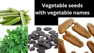 Vegetable seeds with vegetables name in english and hindi. Vegetables seeds pictures #seeds