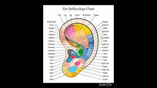 Auriculotherapy (also auricular therapy, ear acupuncture, and auriculoacupuncture)#trendingshorts