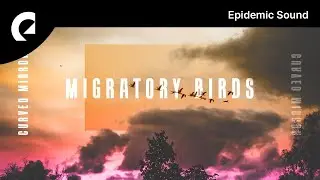 Curved Mirror - Migratory Birds (Royalty Free Music)