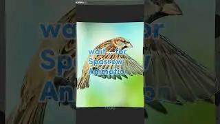 Sparrow Animation 3D | Sparrow Flying Animation in Blender | EEVEE #shorts #animation