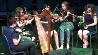 The Native Instrument   P&aacute;draig Rynne's Meitheal arrangement group 2016
