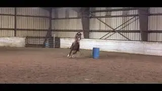 Teaching my students barrel racing techniques and Pole Bending