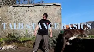 taiji basic stance