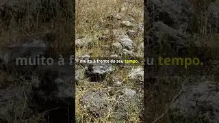 🚀 A Incr&iacute;vel Rede de Estradas do Imp&eacute;rio Romano: 400.000 km de Engenharia Antiga! #curiosidades