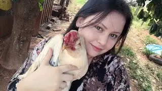UM POUCO DA NOSSA ROTINA DA MANHÃ AQUI NO MEU SITIO... VEM VER?? 🐔🐮🐷 #vidanaroça #vlognaroça