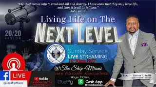 The Ship Miami Live Stream