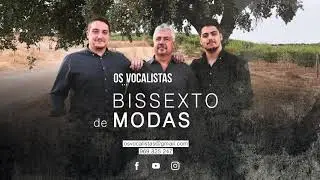 333 - Os Vocalistas - Ouvem-se os galos cantar.