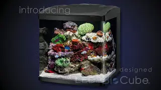 LED BioCube 16 & 32