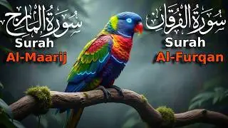 Surah Al-Furqan & Al-Ma&lsquo;arij | Daily Quran for Guidance