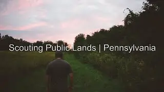 Scouting Public Lands | PA Archery Season 2018