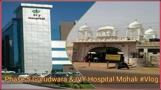 Amartex Light Old Mohali | Phase 5 Gurudwara Mohali | IVY Hospital Mohali | Vlog