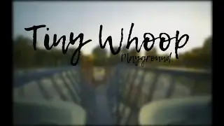 Tiny Whoopin' the playground!