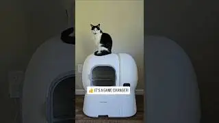 The world largest automatic litter box by @HomerunpetGlobal #litterbox #homerunpet #cats