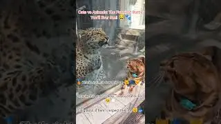 Cats vs Animals! Who&rsquo;s really boss? 😼🐾😂 #ViralCats #FunnyAnimals #EpicBattle #shorts #viral #cat