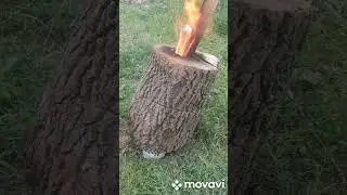 Изготовление пасечной колоды.