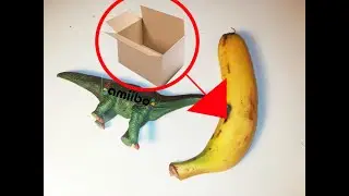 Unbokcing nuevo plat&aacute;nofon y amib&oacute; de yooshy