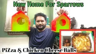 New Home For Sparrows | Small Party | Home Vlog #birds 