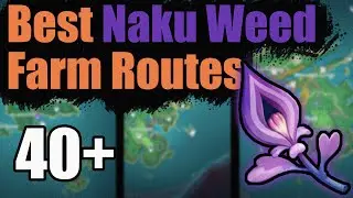 Best Naku Weed Farm Routes/Locations - [Genshin Impact 2.0]