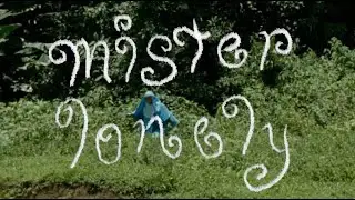 Mister Lonely
