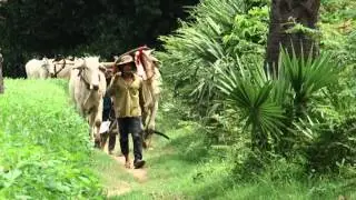 mountain bike and bicycle tours in cambodia