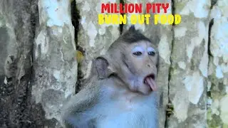 MG Million pity poor baby monkey, After got accident she burn out some thing to much